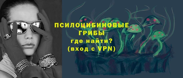 прущие крисы Вяземский