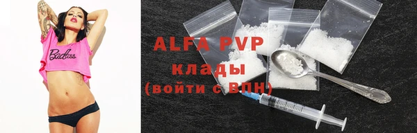 прущие крисы Вяземский