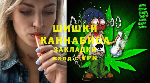 прущие крисы Вяземский