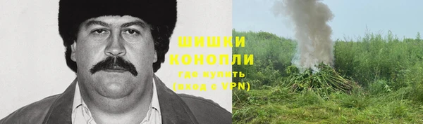 прущие крисы Вяземский