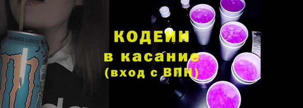 прущие крисы Вяземский